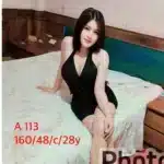 嘉義定點茶- A113/160/48/28/C