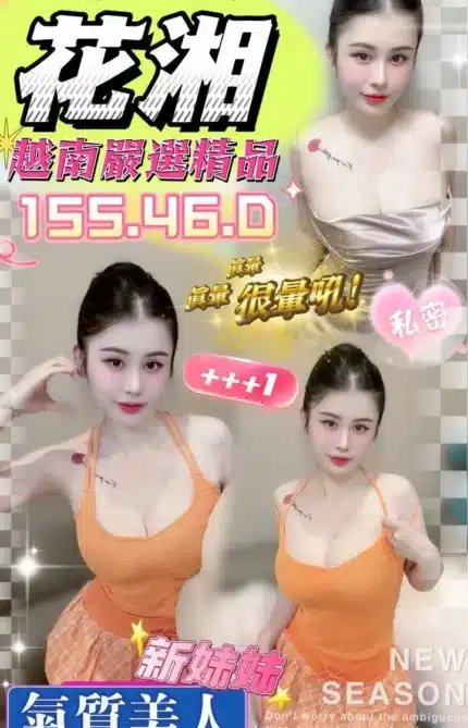 嘉義定點茶-花湘/155/46/?/D