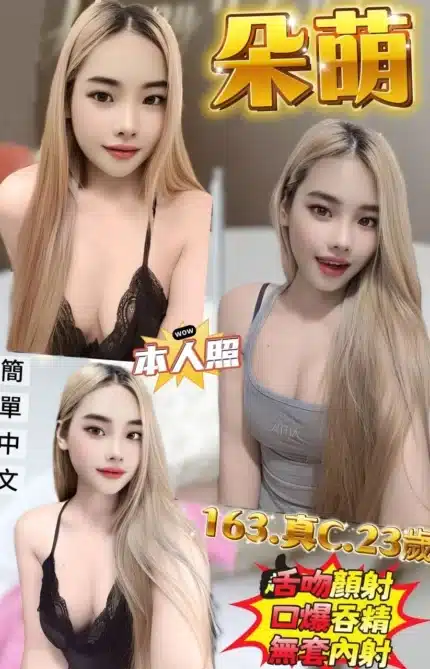新北定點茶-朵萌/163/49/23/C