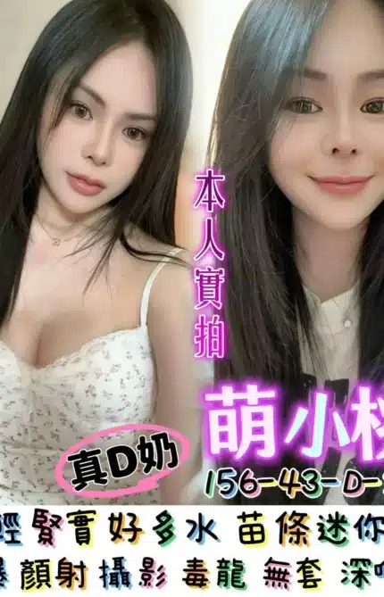 台南定點茶-萌小桃/156/43/20/D