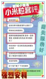 台中定點茶-小米粒/158/46/?/D