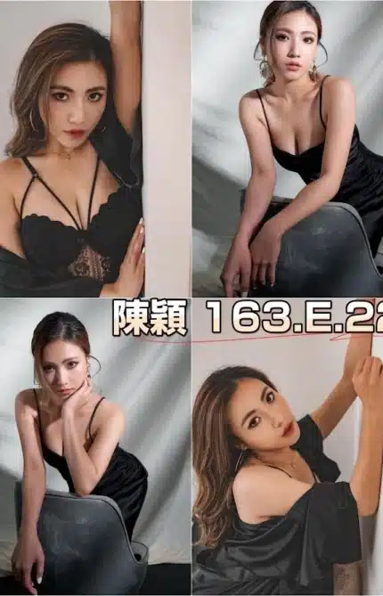 台北外送茶-陳穎/163/?/22/E