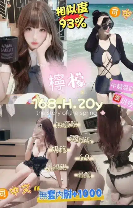 新北定點茶-檸檬/168/52/20/H