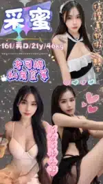 台北定點茶-采蜜/161/46/21/D