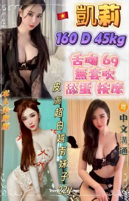 新北定點茶-凱莉/160/45/22/D