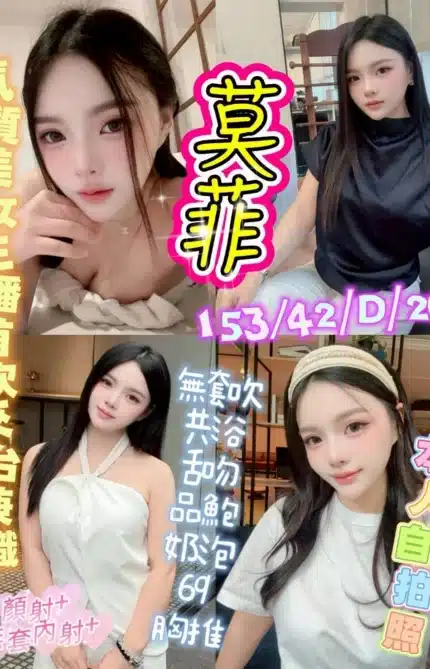 台中定點茶-莫菲/153/42/20/D