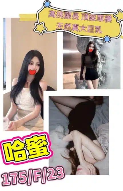 台北外送茶-哈蜜/175/?/23/F