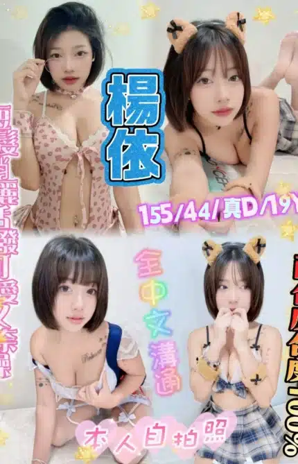 新北定點茶-楊依/155/44/19/D