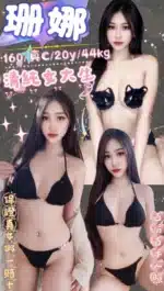 新北定點茶-珊娜/160/44/20/C