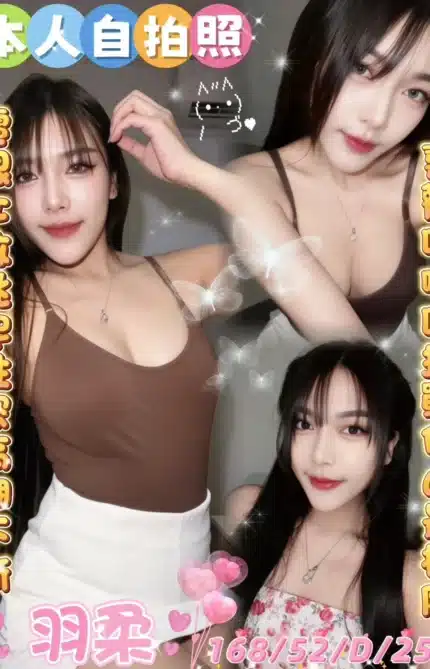 雲林定點茶-羽柔/168/52/25/D