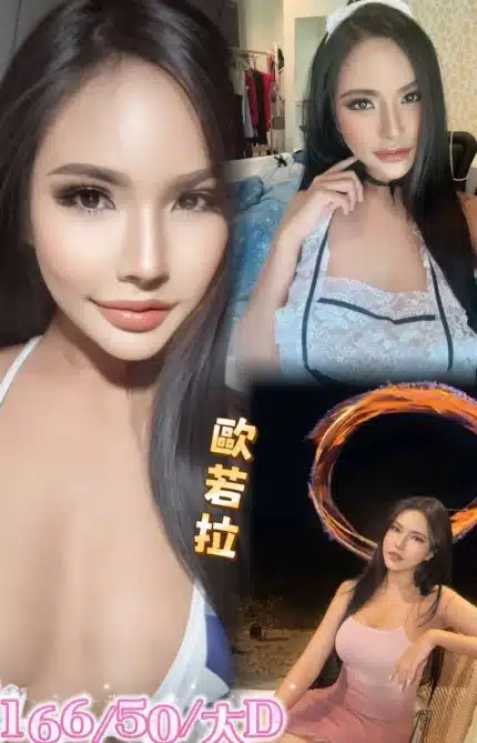 桃園定點茶-歐若拉/166/50/25/D