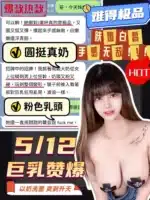 台中定點茶-大立奶子/160/48/22/J