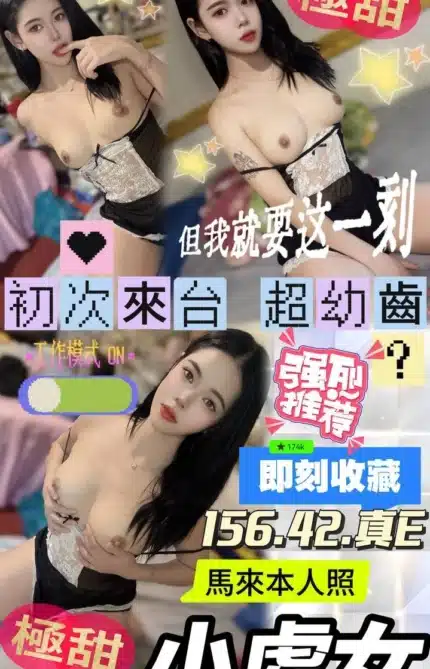 台中定點茶-小處女/156/42/?/E