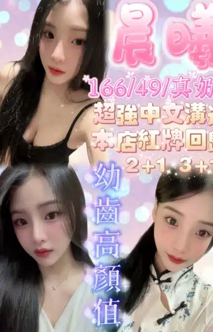 新竹定點茶-晨曦/166/49/20/E