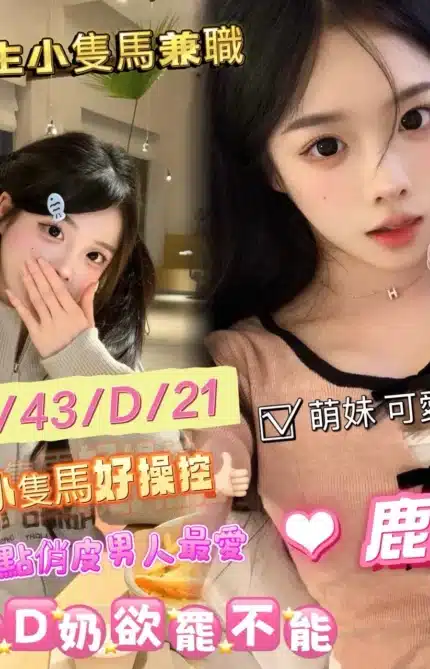 台中定點茶-鹿鹿/153/43/21/D