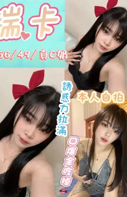 屏東定點茶-瑞卡/156/49/?/C