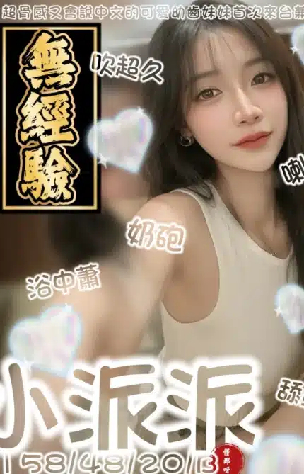 台南定點茶-小派派/158/48/20/B