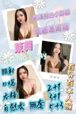屏東定點茶-茉莉/158/46/24/C
