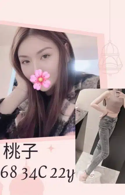 台北外送茶-桃子/168/?/22/D