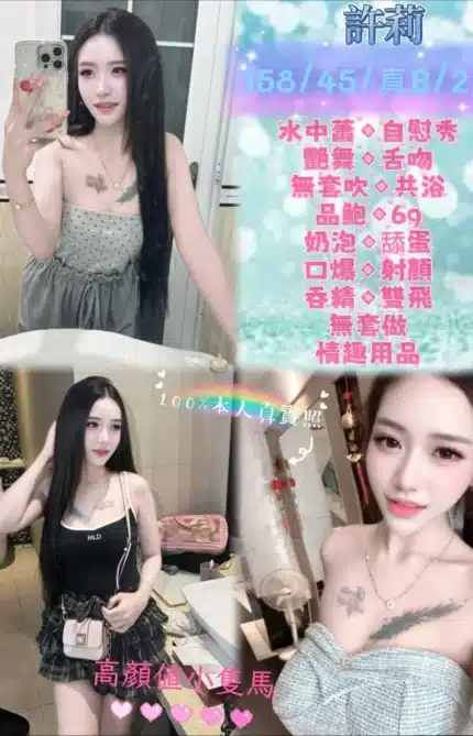 新北定點茶-許莉/158/45/21/B