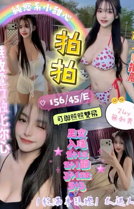 新竹定點茶-拍拍/156/45/24/E