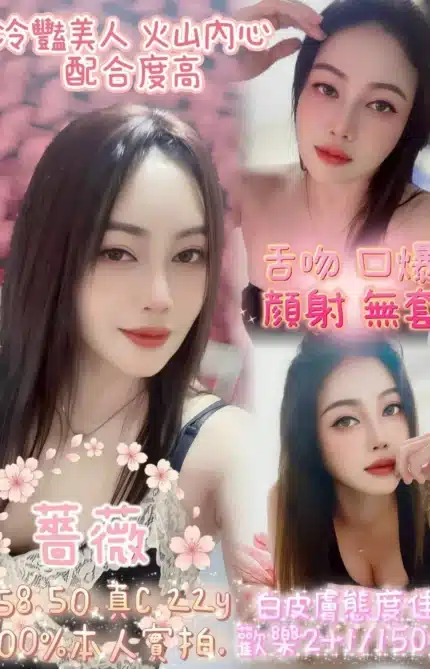 嘉義定點茶-薔薇/158/50/22/C