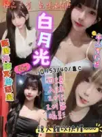 新竹定點茶-白月光/153/40/?/C