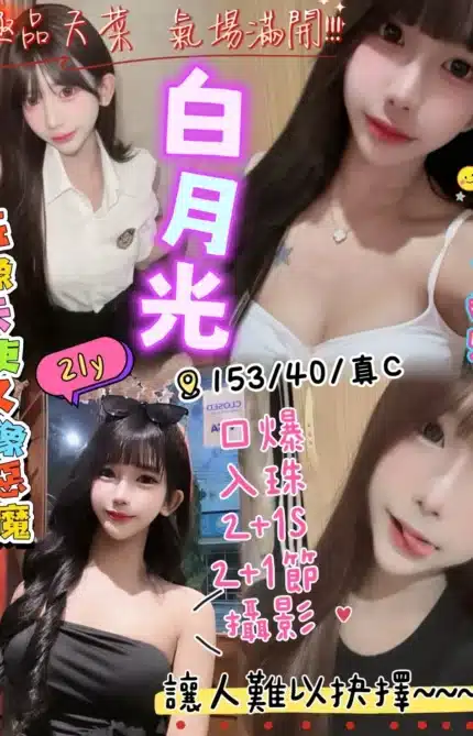 新竹定點茶-白月光/153/40/?/C