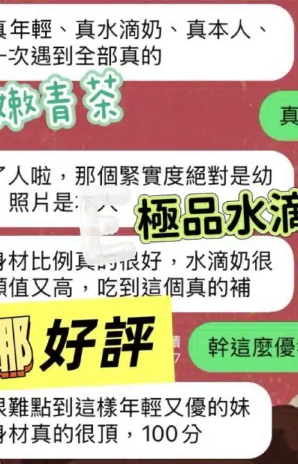 雲林定點茶-波娜/158/45/?/E