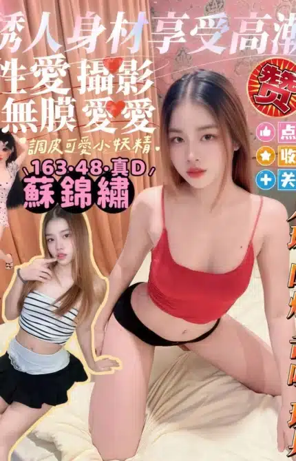 屏東定點茶-蘇錦繡/163/48/23/D