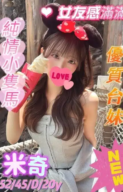 高雄外送茶-米奇/152/45/20/D