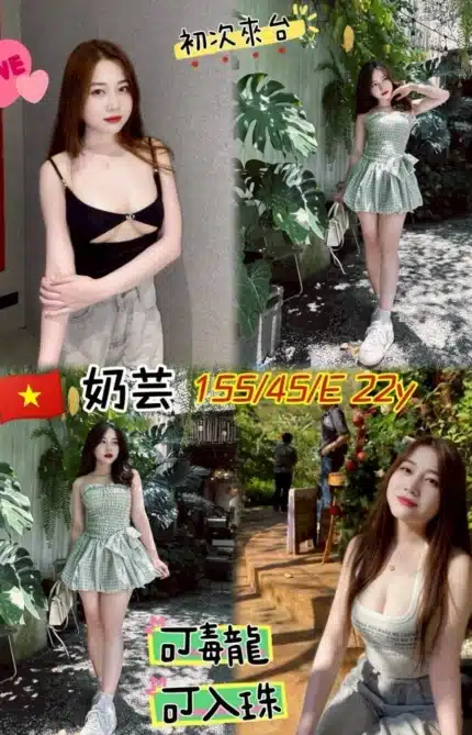 桃園定點茶-奶芸/155/45/22/E