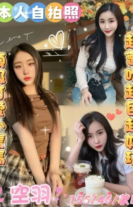 雲林定點茶-空羽/155/46/?/D