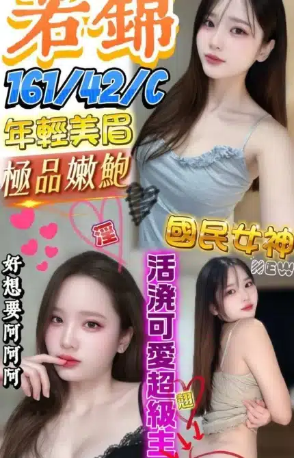 屏東定點茶-若錦/161/42/?/C