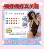 新北定點茶-蝴蝶/158/43/23/C