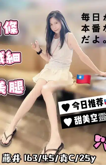 台中定點茶-藤井/163/45/25/C