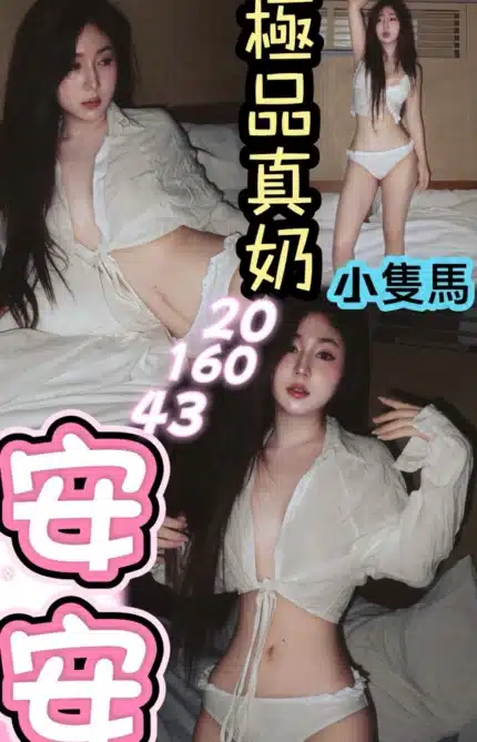 桃園定點茶-安安/160/43/20/E