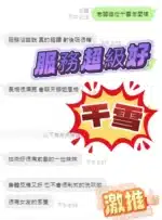 台中定點茶-千雪/159/48/?/D