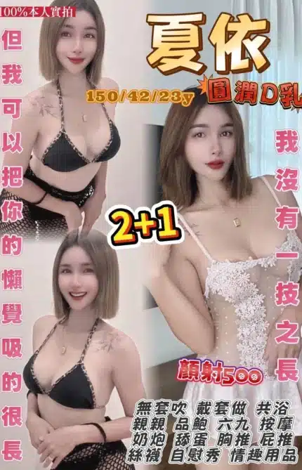 桃園定點茶-夏依/150/42/23/D