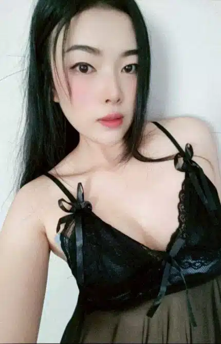 雲林定點茶-貝拉/161/51/28/C