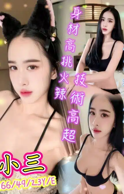 台北定點茶-小三/166/49/23/E