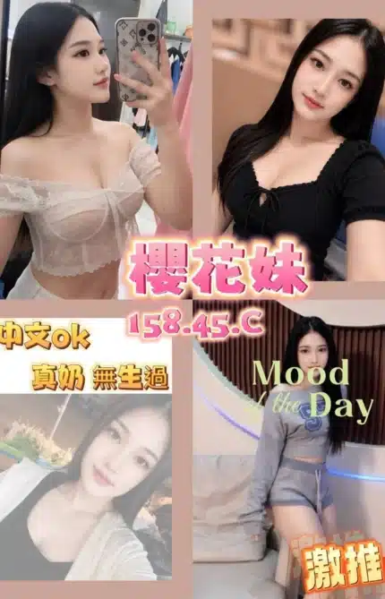 台南定點茶-櫻花妹/158/45/?/C