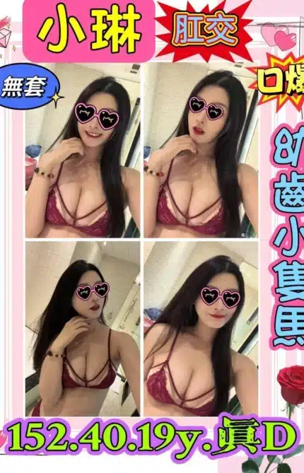 新北定點茶-小琳/152/40/19/D