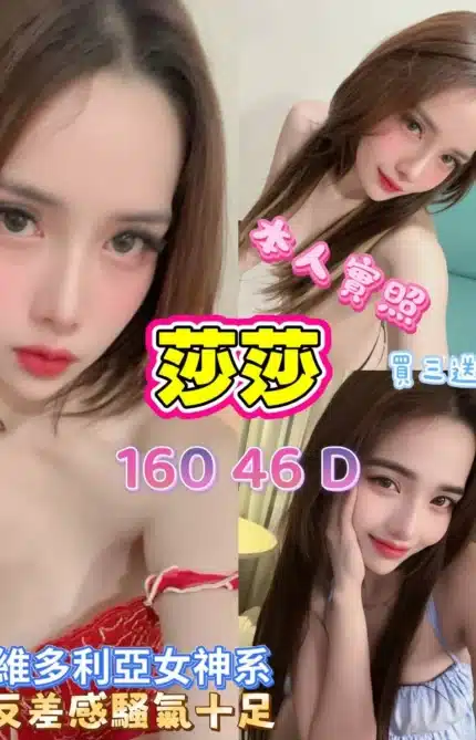 新北定點茶-莎莎/160/46/?/D