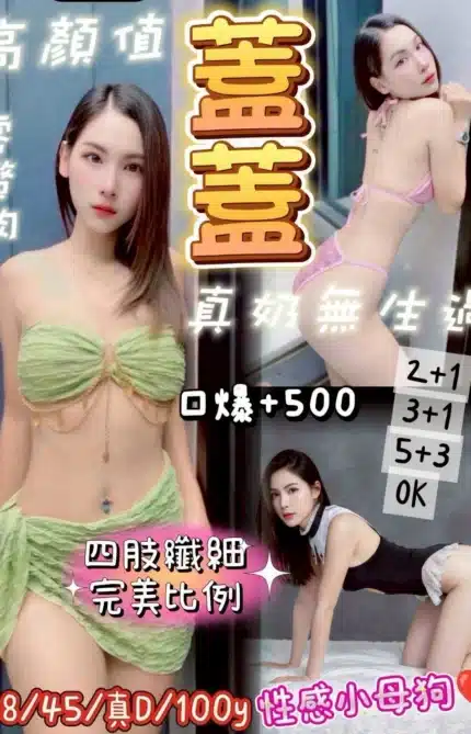 桃園定點茶-蓋蓋/158/45/?/D