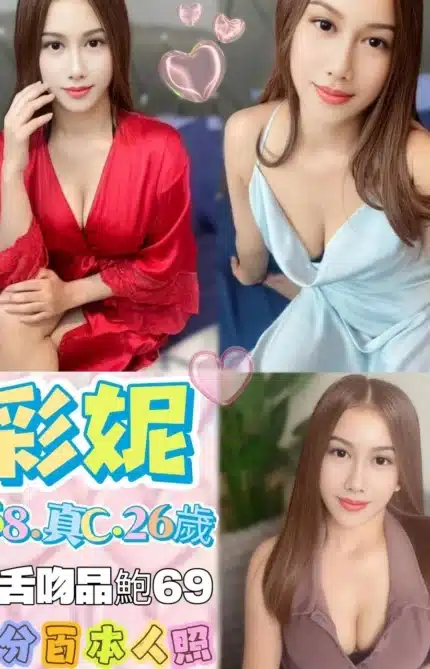 台北定點茶-彩妮/158/43/26/C