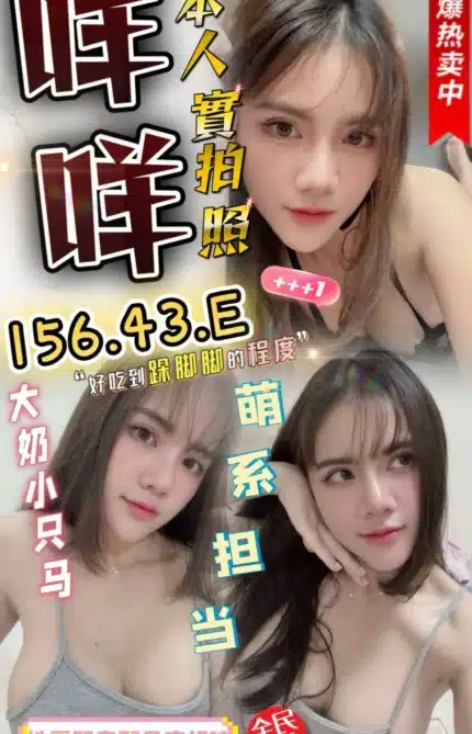 苗栗定點茶-咩咩./156/43/23/E