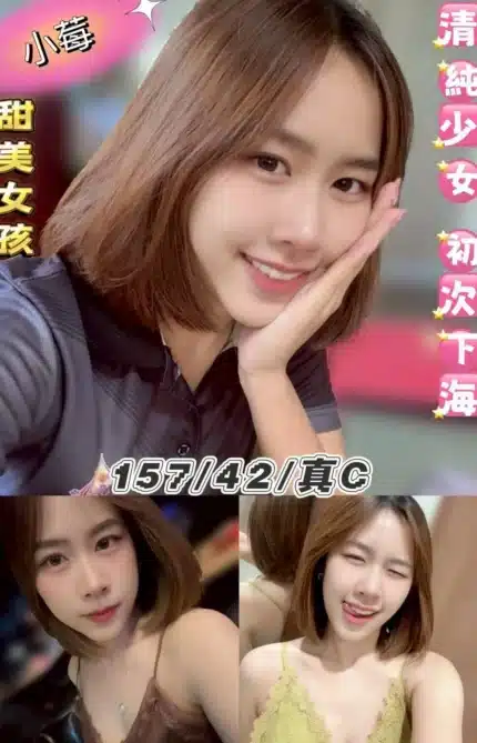 台北定點茶-小莓/157/42/21/C