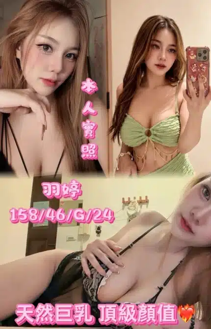台中定點茶-羽婷/158/46/24/G