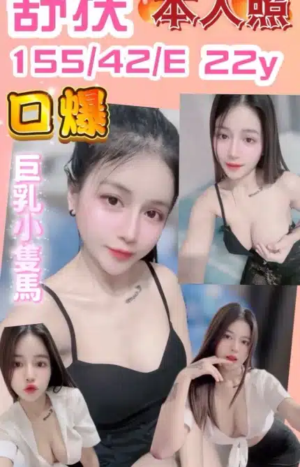 新竹定點茶-舒扶/155/42/22/E